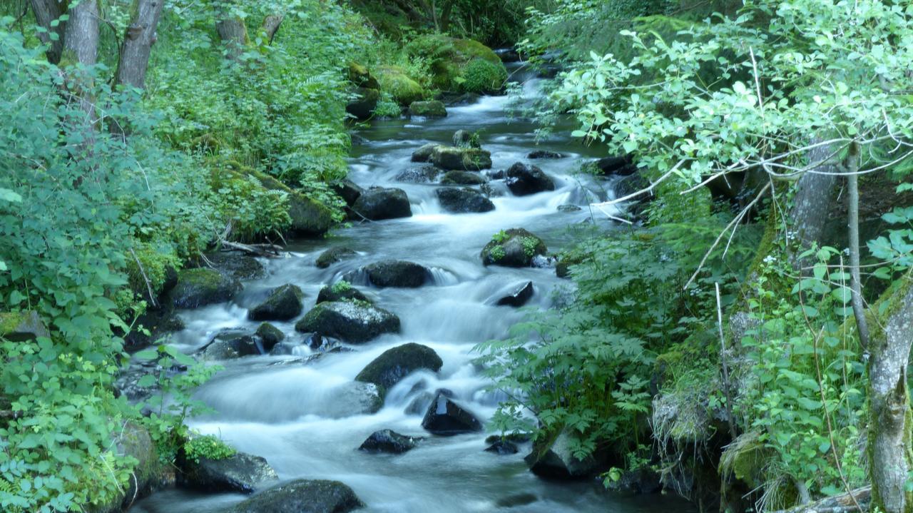 Le Gite Du Velay Bains Buitenkant foto
